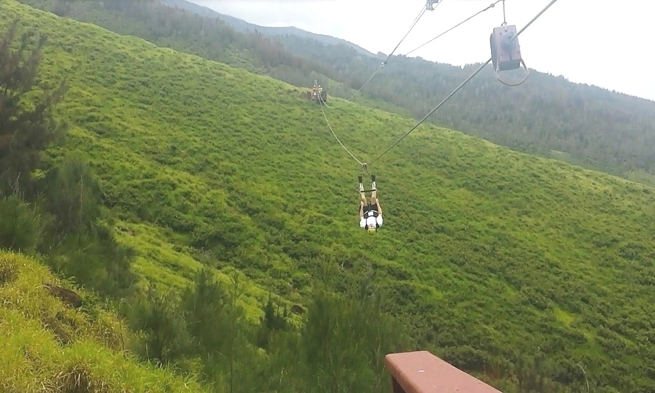 Bill zipping upside down